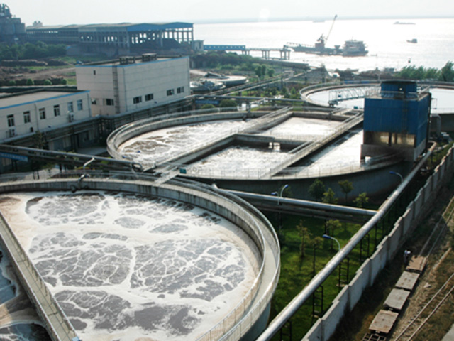 岳陽泰格林紙集團污水處理池